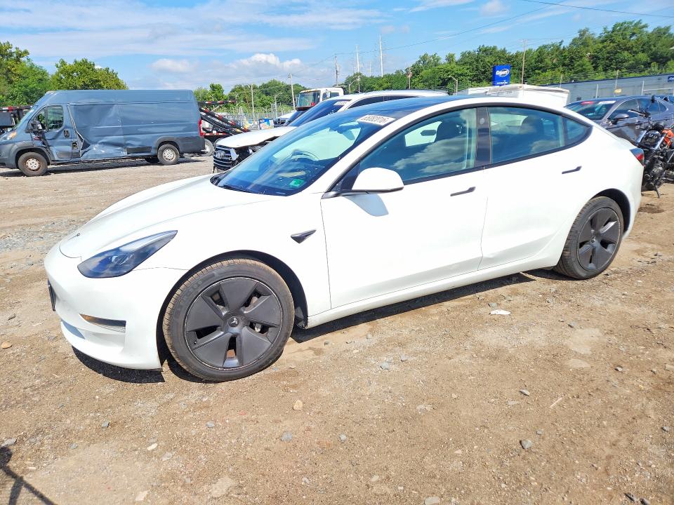 2023 Tesla Model 3 მანქანა იყიდება აუქციონზე, vin: 5YJ3E1EA7PF566075, აუქციონის ნომერი: 65082016
