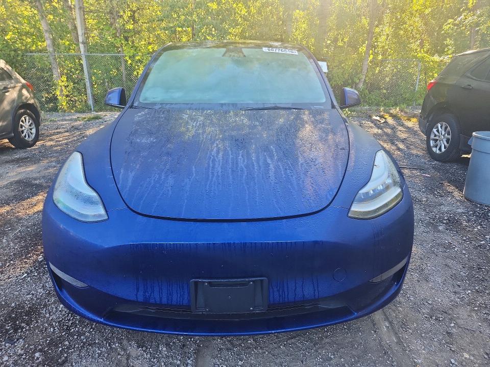 Aukcja sprzedaży 2021 Tesla Model Y, vin: 5YJYGDEE4MF185557, numer aukcji: 66776846