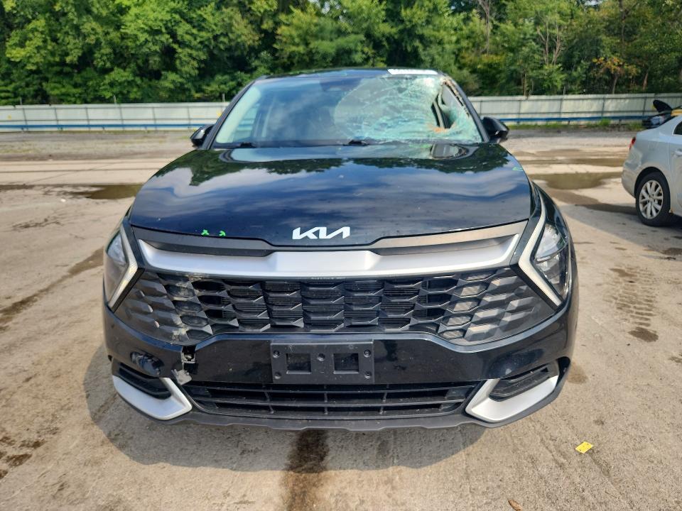 Продаж на аукціоні авто 2023 Kia Sportage, vin: KNDPUCAFXP7134653, номер лоту: 66786736