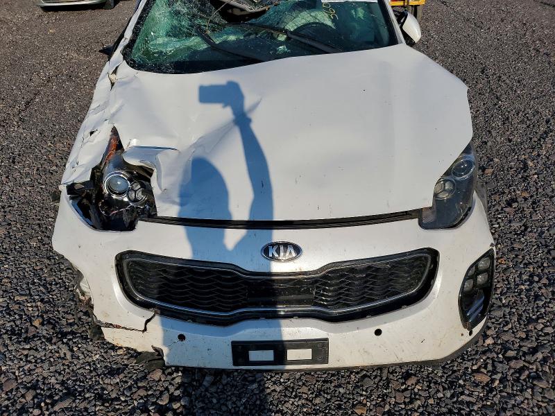 Продаж на аукціоні авто 2019 Kia Sportage, vin: KNDPRCA68K7551912, номер лоту: 66770296