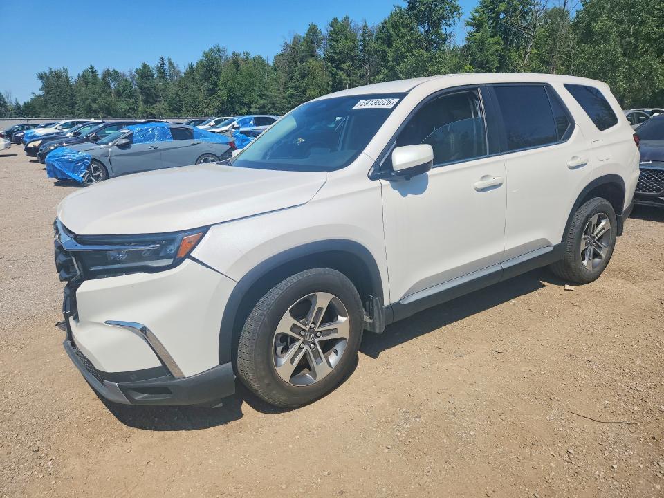 Продажа на аукционе авто 2024 Honda Pilot, vin: 5FNYG1H46RB501940, номер лота: 59136626