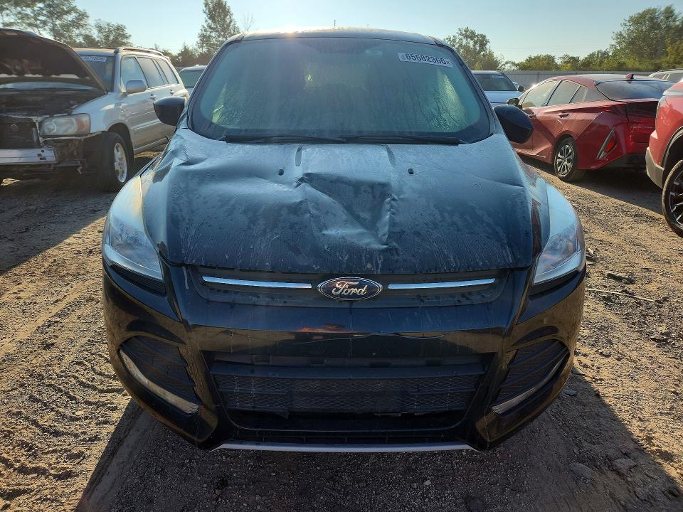 Продажа на аукционе авто 2015 Ford Escape, vin: 1FMCU0G72FUC41009, номер лота: 65582366