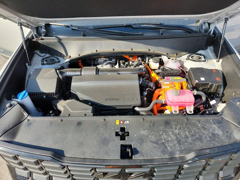 65397466 :رقم المزاد ، 5XYPLESA9VG009791 vin ، 2027 Kia Telluride Hybrid مزاد بيع