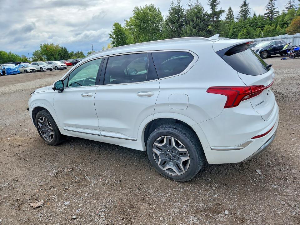 2021 Hyundai Santa Fe მანქანა იყიდება აუქციონზე, vin: 5NMS5DAL1MH331959, აუქციონის ნომერი: 65899916