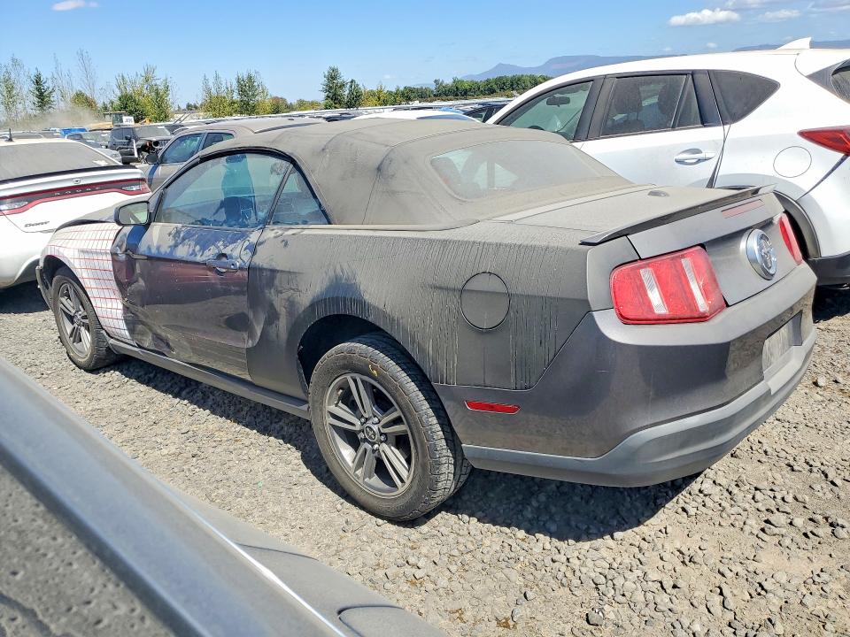 Продаж на аукціоні авто 2010 Ford Mustang, vin: 1ZVBP8EN6A5124640, номер лоту: 61802256