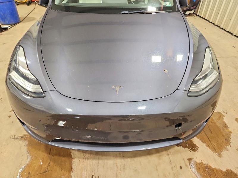 Продаж на аукціоні авто 2023 Tesla Model Y, vin: 7SAYGDEE4PA113245, номер лоту: 64270036