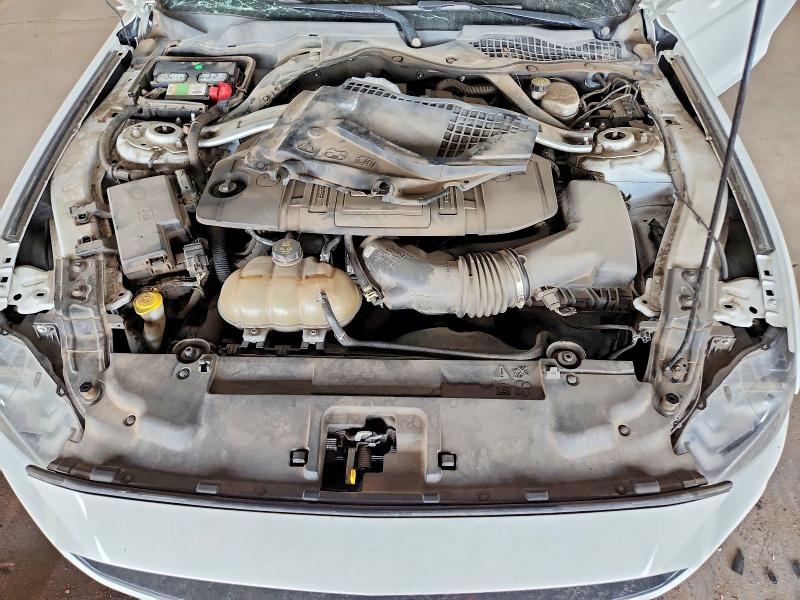 Продаж на аукціоні авто 2019 Ford Mustang, vin: 1FA6P8CF9K5120525, номер лоту: 67203576