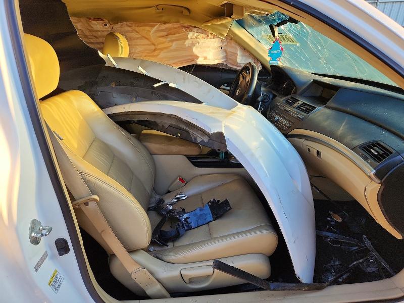 66803086 :رقم المزاد ، 1HGCS12869A013117 vin ، 2009 Honda Accord مزاد بيع