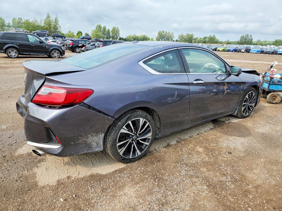 64567386 :رقم المزاد ، 1HGCT1B72HA800701 vin ، 2017 Honda Accord مزاد بيع