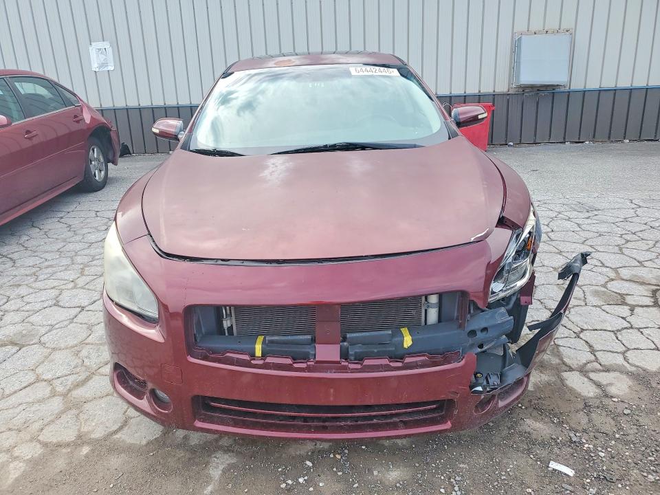 2009 Nissan Maxima მანქანა იყიდება აუქციონზე, vin: 1N4AA51E59C850152, აუქციონის ნომერი: 64442446