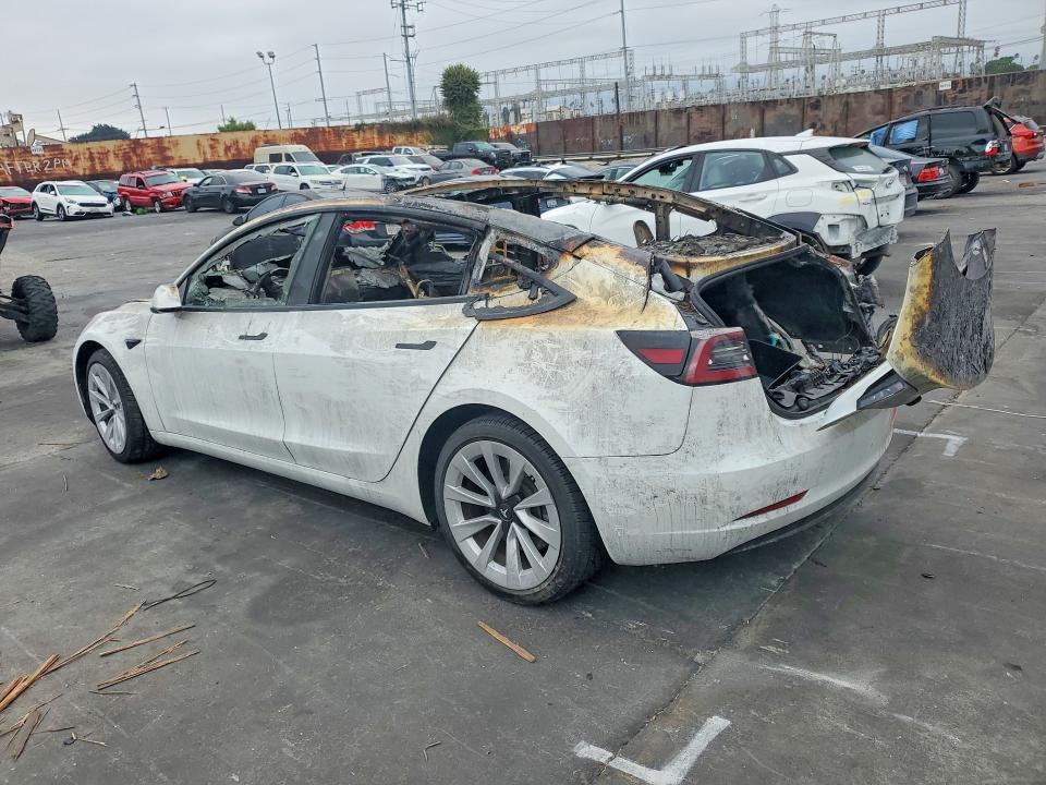 Продаж на аукціоні авто 2023 Tesla Model 3, vin: 5YJ3E1EA0PF459787, номер лоту: 63689106