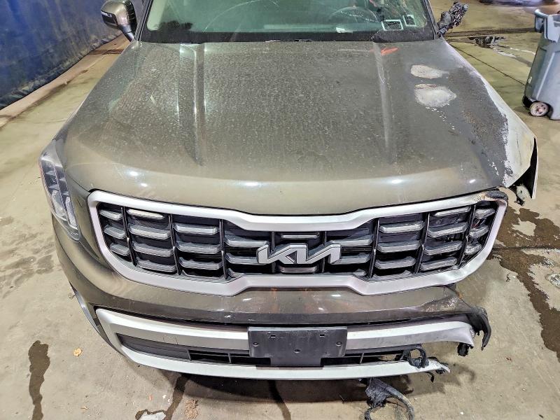 Продажа на аукционе авто 2025 Kia Telluride, vin: 5XYP6DGC2SG687483, номер лота: 65016256