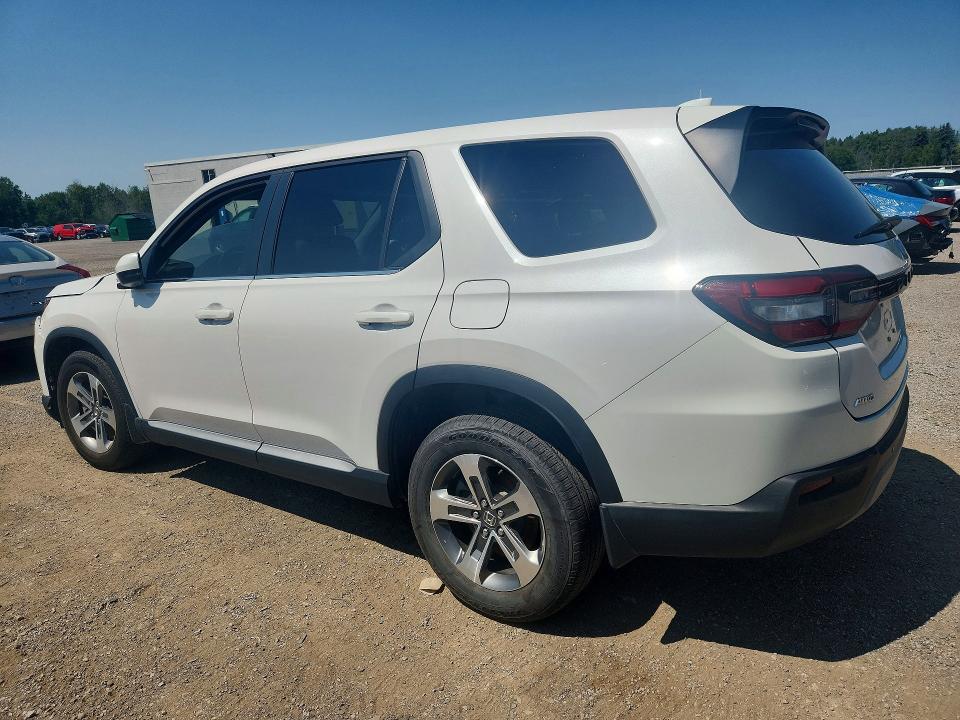 2024 Honda Pilot მანქანა იყიდება აუქციონზე, vin: 5FNYG1H46RB501940, აუქციონის ნომერი: 59136626