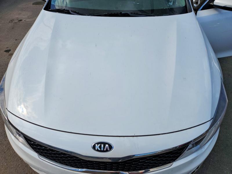 Продажа на аукционе авто 2016 Kia Optima, vin: KNAGT4L39G5073560, номер лота: 62941106