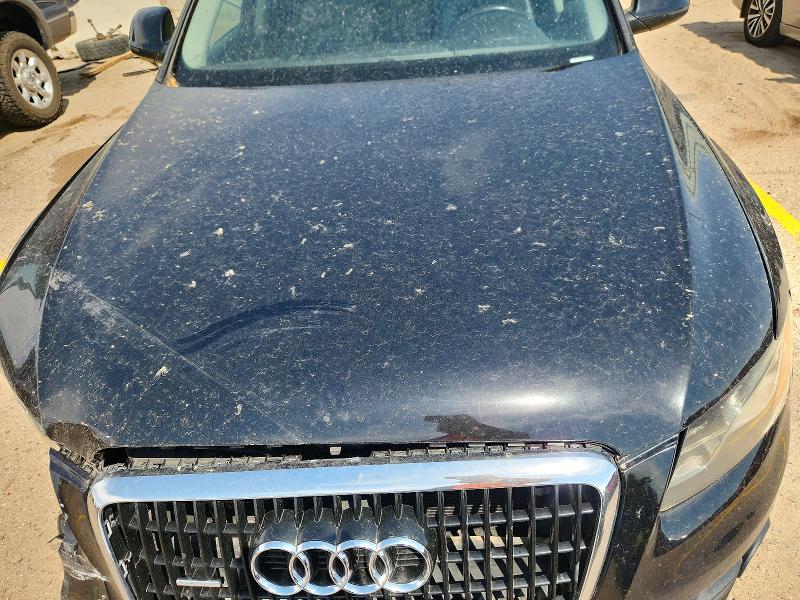 Продаж на аукціоні авто 2010 Audi Q5, vin: WA1LKAFP4AA064856, номер лоту: 63884576