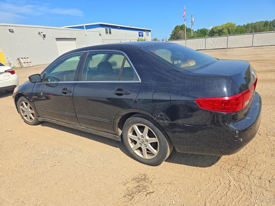 Продаж на аукціоні авто 2005 Honda Accord, vin: 1HGCM66375A800156, номер лоту: 65003486