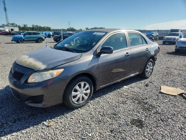 65674016 :رقم المزاد ، JTDBU4EE9AJ062145 vin ، 2010 Toyota Corolla مزاد بيع
