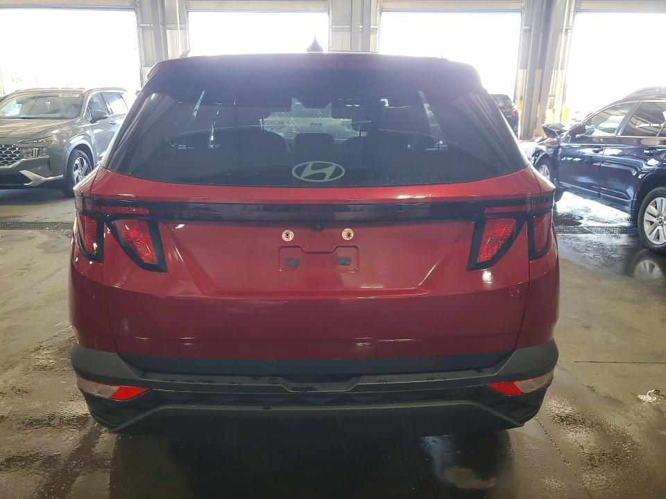 Продажа на аукционе авто 2025 Hyundai Tucson, vin: 5NMJB3DE2SH470197, номер лота: 67025366