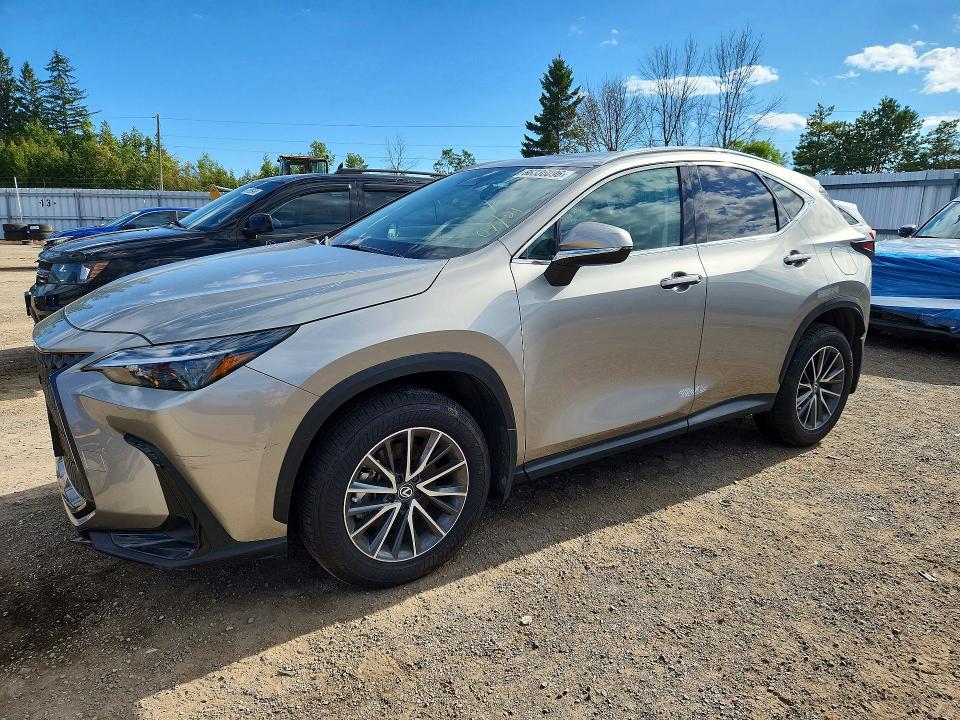 2025 Lexus Nx მანქანა იყიდება აუქციონზე, vin: 2T2GGCEZ7SC071302, აუქციონის ნომერი: 66336096