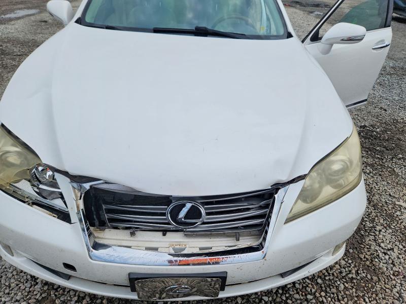Продаж на аукціоні авто 2010 Lexus Es, vin: JTHBK1EG1A2412799, номер лоту: 67058716