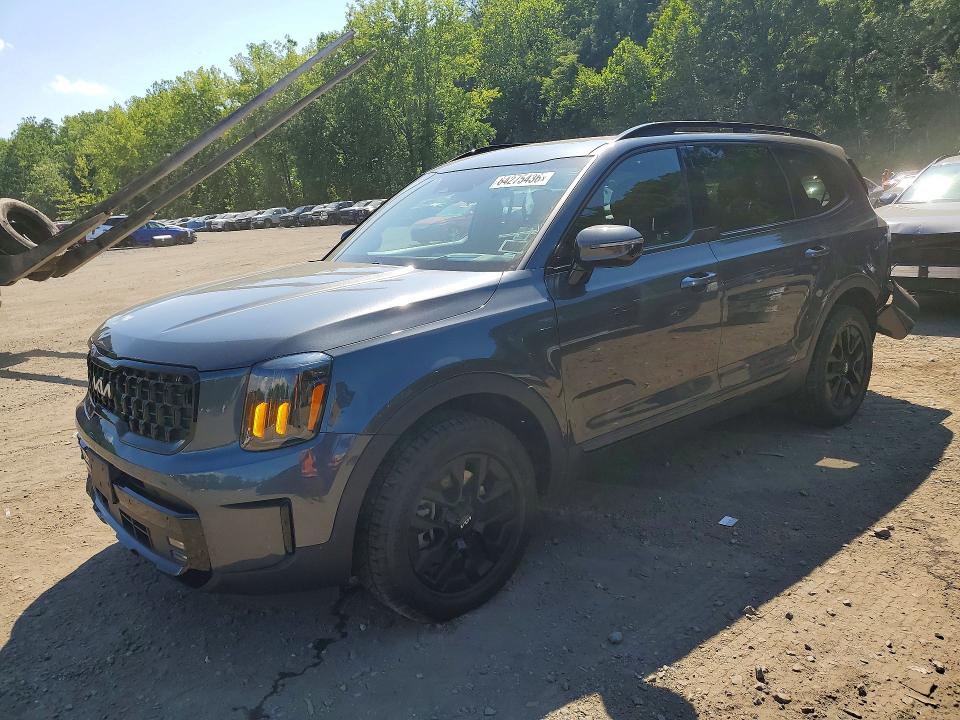 64275436 :رقم المزاد ، 5XYP5DGCXRG526831 vin ، 2024 Kia Telluride مزاد بيع