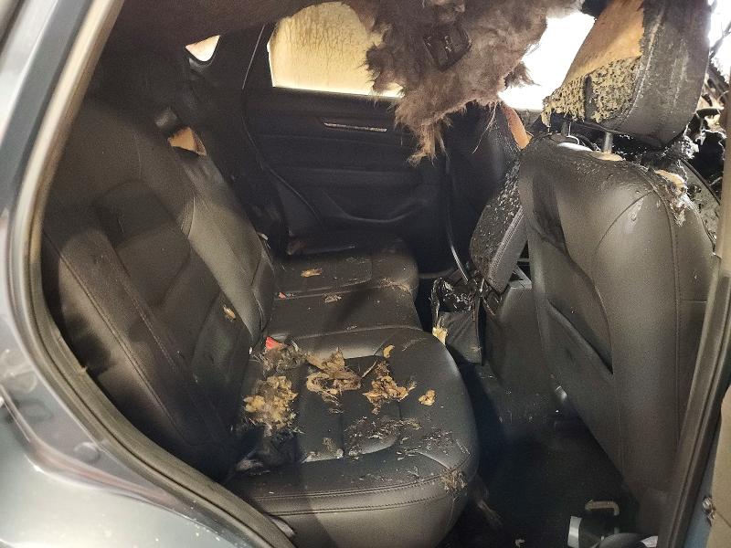 2022 Mazda Cx-5 მანქანა იყიდება აუქციონზე, vin: JM3KFBCM1N0559427, აუქციონის ნომერი: 64117146