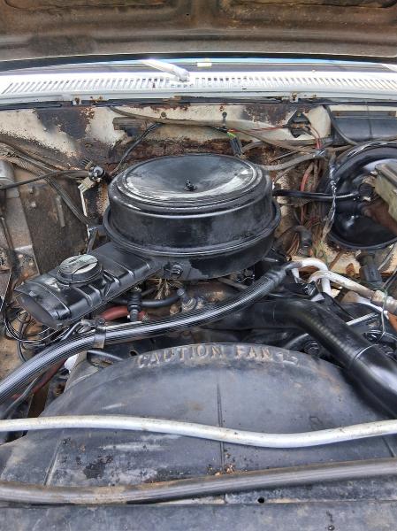 Продаж на аукціоні авто 1983 Chevrolet Blazer, vin: 1G8EK18L4DF11358, номер лоту: 65076406