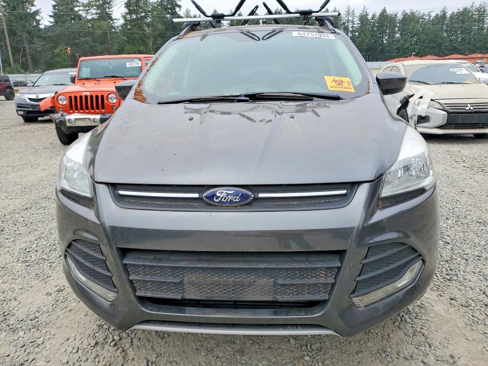 Продаж на аукціоні авто 2016 Ford Escape, vin: 1FMCU9G92GUC60666, номер лоту: 64757936
