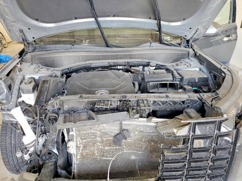 Продажа на аукционе авто 2025 Hyundai Palisade, vin: KM8R24GE5SU934771, номер лота: 64613046