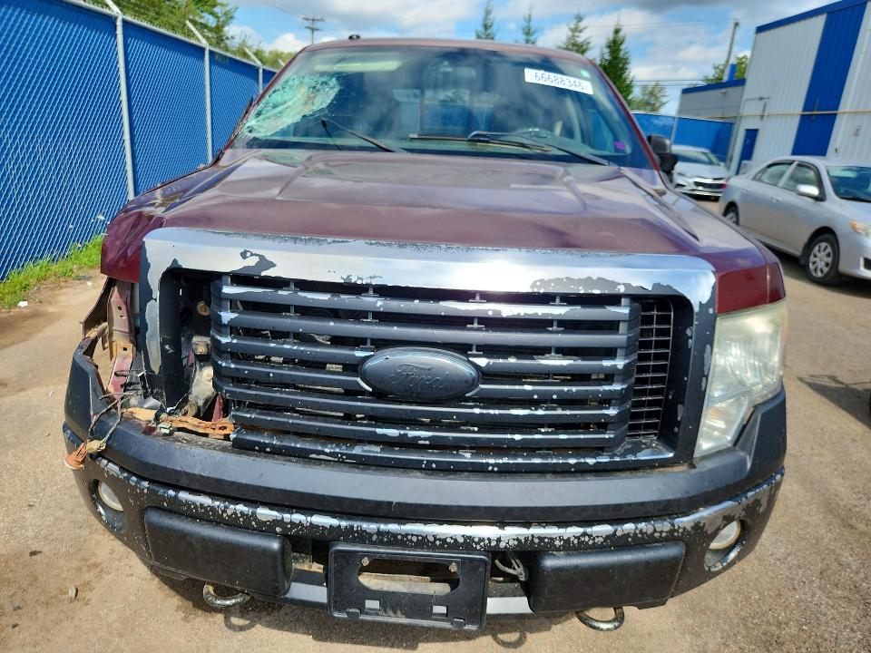 66688346 :رقم المزاد ، 1FTFW1E85AFB63982 vin ، 2010 Ford F150 مزاد بيع