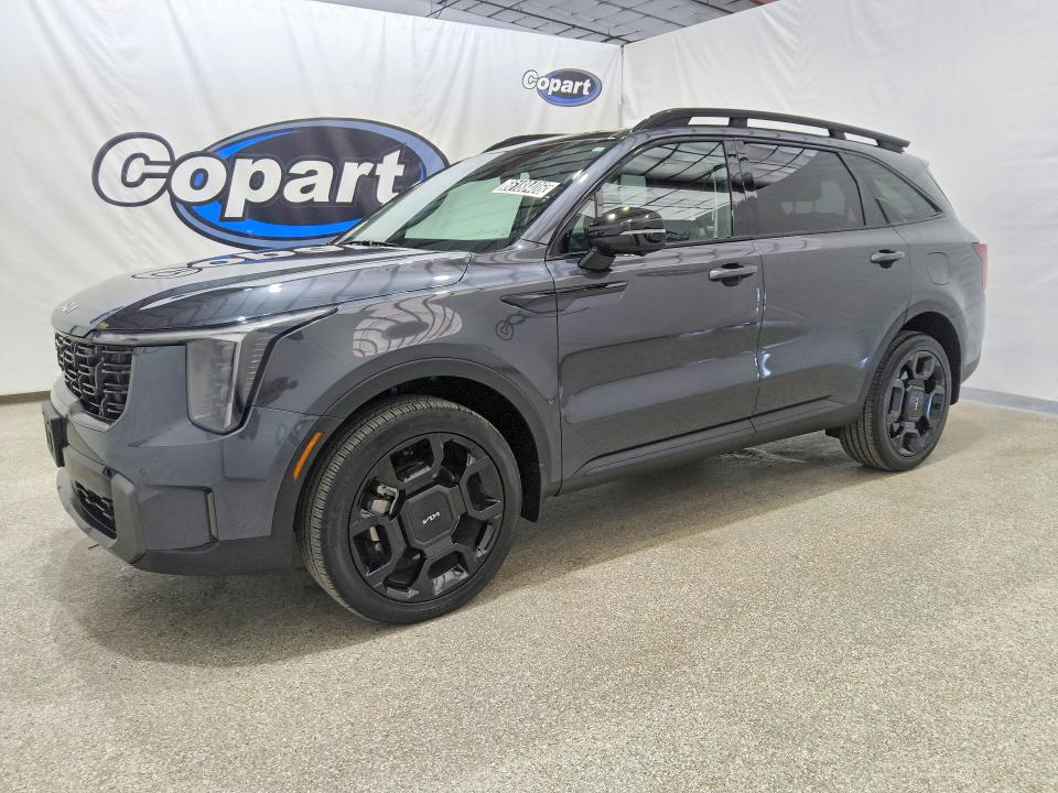 Продаж на аукціоні авто 2024 Kia Sorento, vin: 5XYRKDJF5RG263703, номер лоту: 66188406