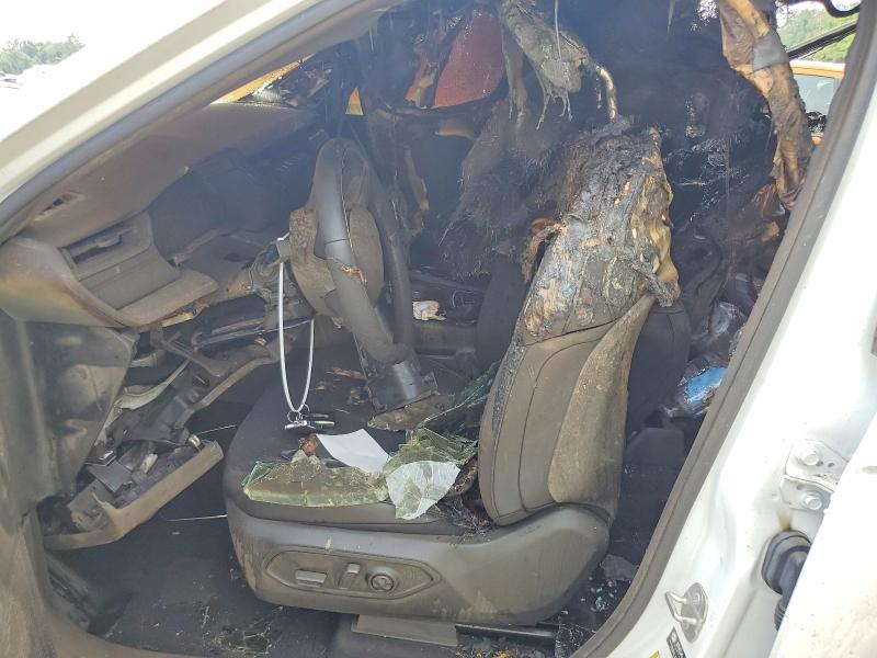 Aukcja sprzedaży 2023 Jeep Grand Cherokee, vin: 1C4RJJAG4P8869959, numer aukcji: 65334286