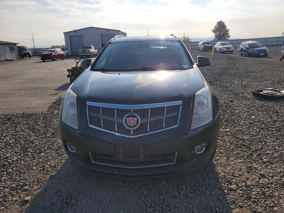 65187336 :رقم المزاد ، 3GYFNFEY6BS602484 vin ، 2011 Cadillac Srx مزاد بيع