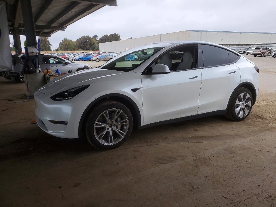Aukcja sprzedaży 2023 Tesla Model Y, vin: 7SAYGDEE1PA167196, numer aukcji: 65663696