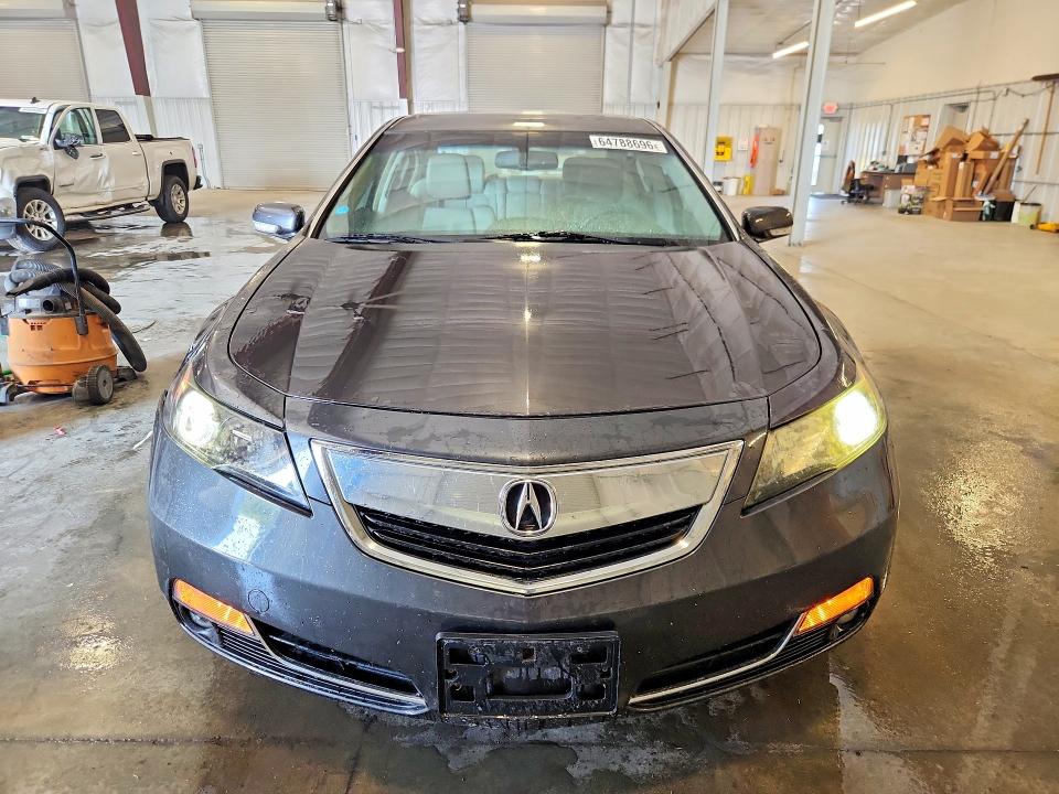64788696 :رقم المزاد ، 19UUA8F26DA004237 vin ، 2013 Acura Tl مزاد بيع