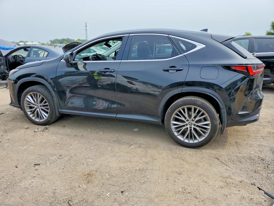 64807796 :رقم المزاد ، 2T2GKCEZ4RC017495 vin ، 2024 Lexus Nx مزاد بيع