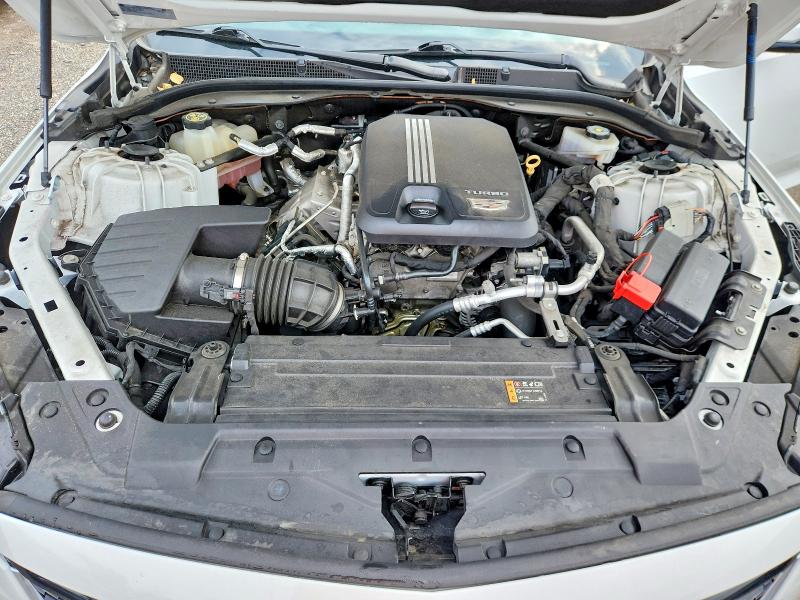66667796 :رقم المزاد ، 1G6DW5RKXM0144181 vin ، 2021 Cadillac Ct5 مزاد بيع