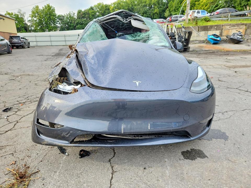 66779496 :رقم المزاد ، 7SAYGDEE8PF895052 vin ، 2023 Tesla Model Y مزاد بيع