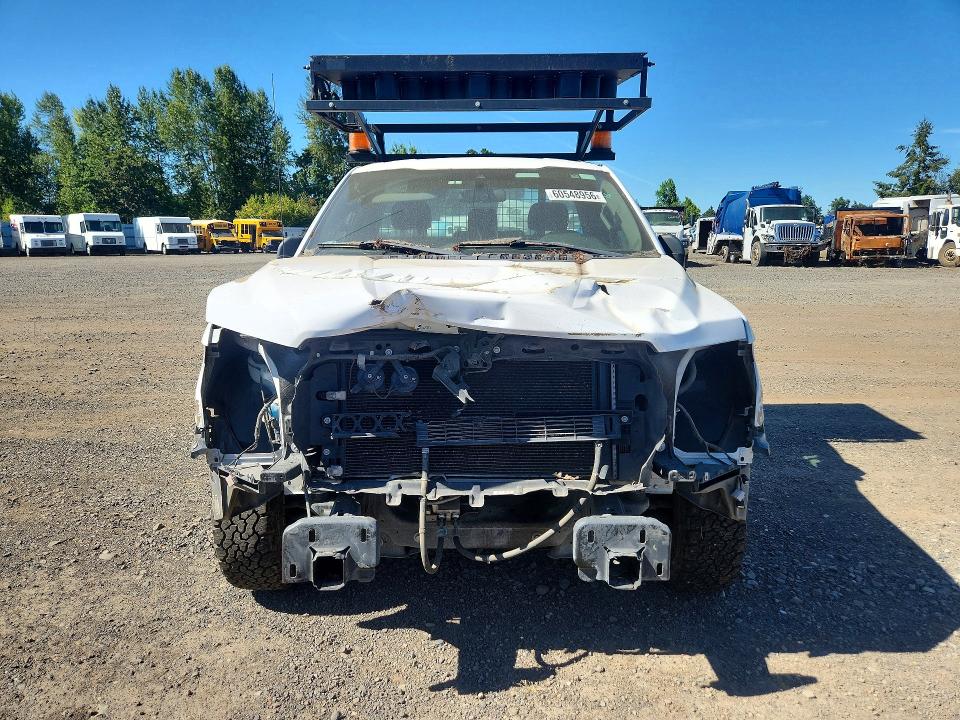 Auction sale of the 2019 Ford F150, vin: 1FTMF1CB1KKE52694, lot number: 60548956
