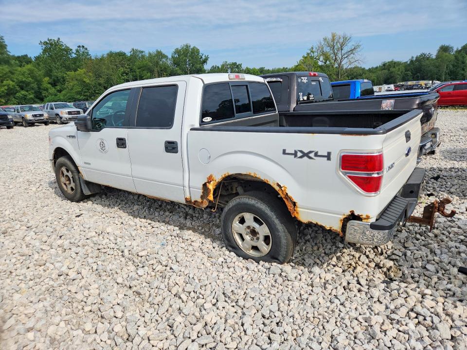64260976 :رقم المزاد ، 1FTFW1ET8DFB84513 vin ، 2013 Ford F150 مزاد بيع