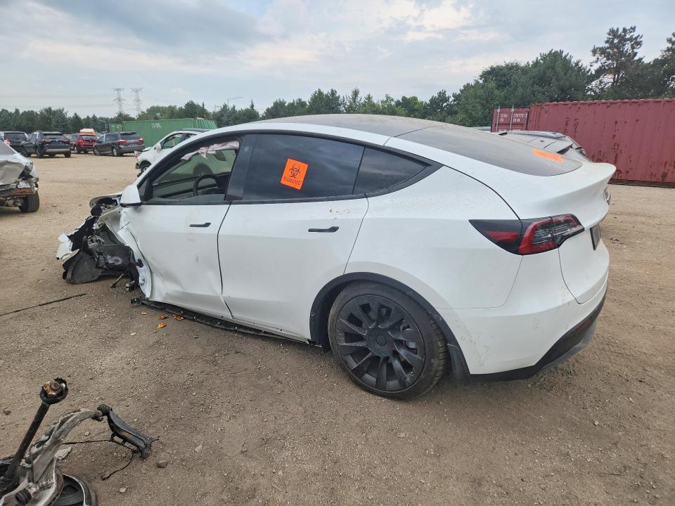 Продаж на аукціоні авто 2021 Tesla Model Y, vin: 5YJYGDEEXMF299949, номер лоту: 65621896