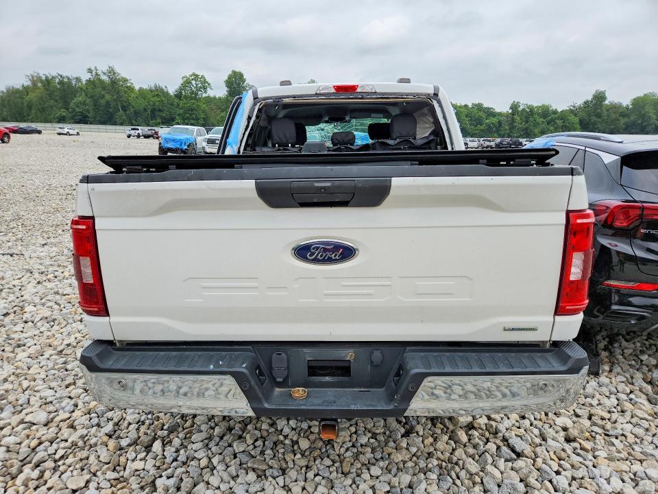 Aukcja sprzedaży 2021 Ford F150, vin: 1FTFW1E84MFA67829, numer aukcji: 64281936