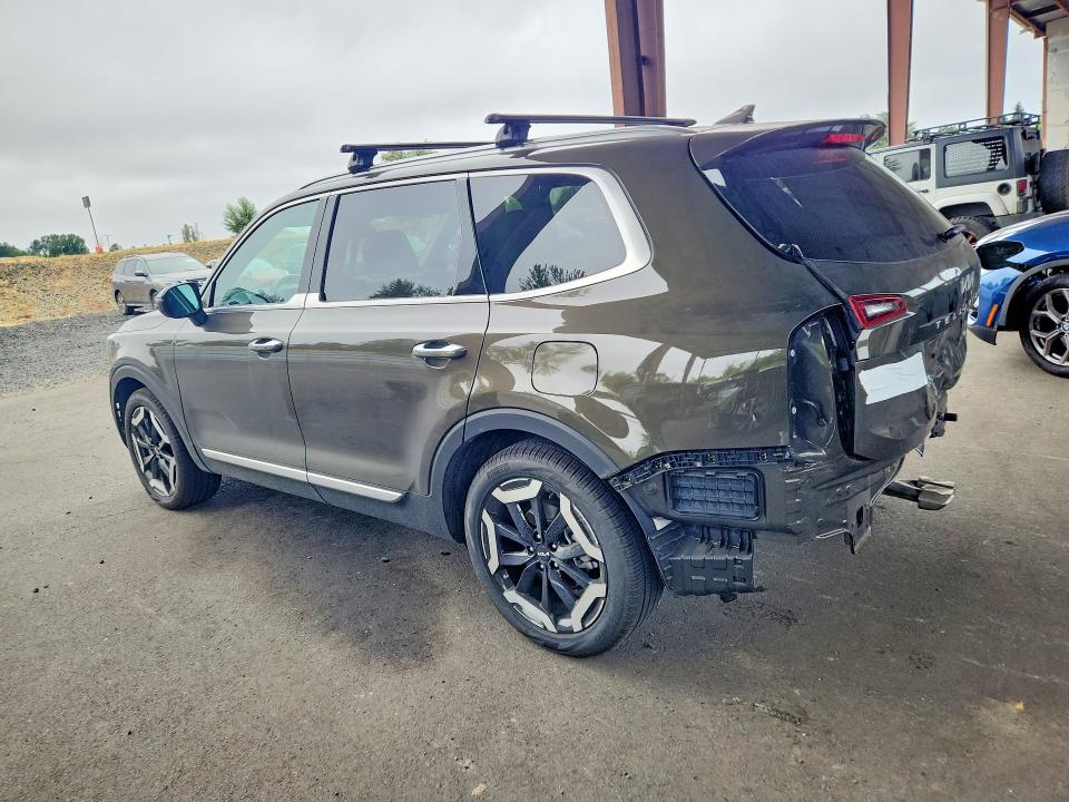 Aukcja sprzedaży 2025 Kia Telluride, vin: 5XYP6DGC6SG677054, numer aukcji: 65555626