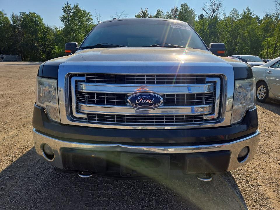 64987806 :رقم المزاد ، 1FTFW1EF5EKF82555 vin ، 2014 Ford F150 مزاد بيع