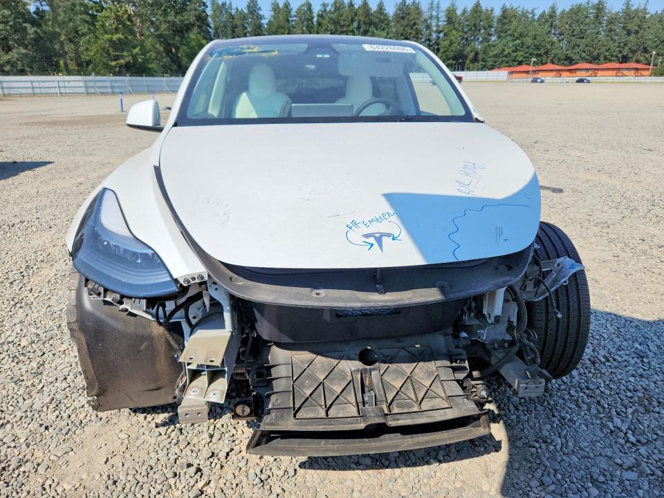 Aukcja sprzedaży 2024 Tesla Model Y, vin: 7SAYGDEE3RF075495, numer aukcji: 64226066