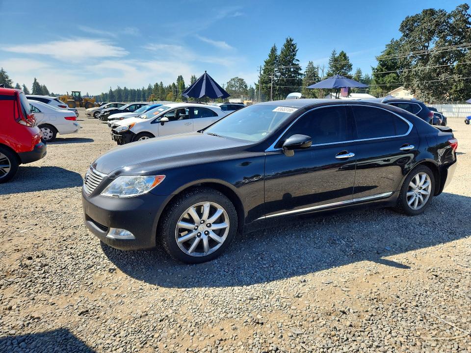 65653186 :رقم المزاد ، JTHCL46F595002414 vin ، 2009 Lexus Ls مزاد بيع
