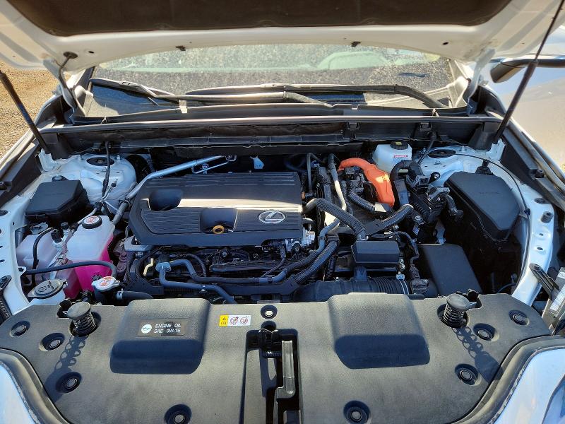66389786 :رقم المزاد ، 2T2GKCEZXSC032721 vin ، 2025 Lexus Nx 350h مزاد بيع