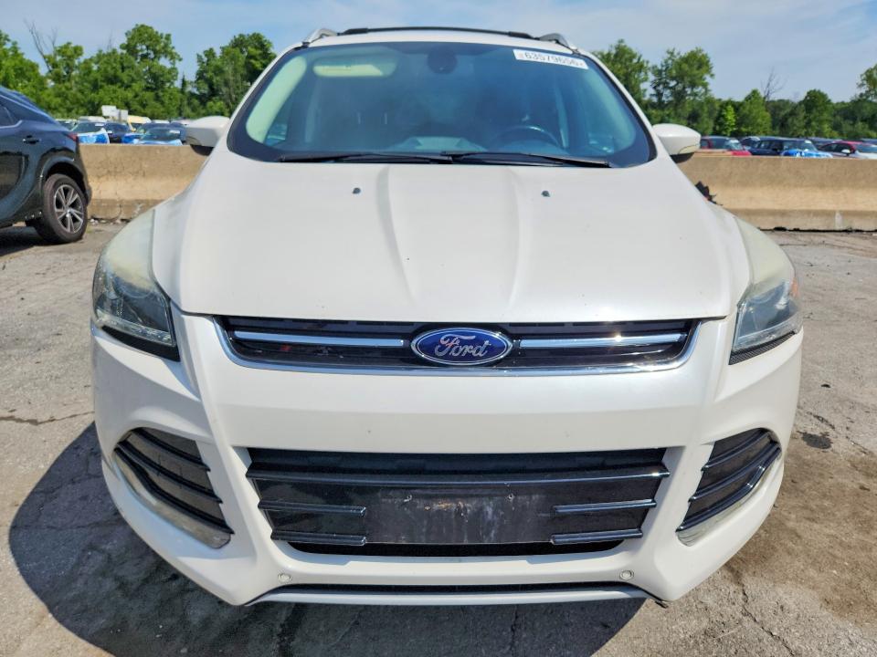 Продаж на аукціоні авто 2014 Ford Escape, vin: 1FMCU9JX7EUB75469, номер лоту: 63579656