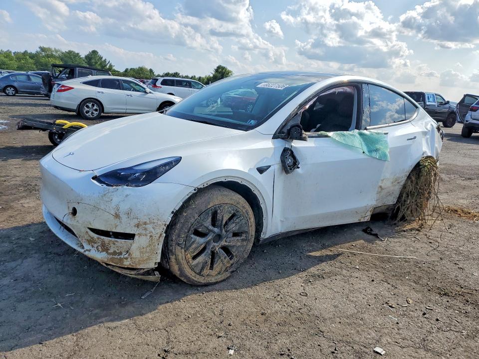 Продажа на аукционе авто 2024 Tesla Model Y, vin: 7SAYGDEDXRF104739, номер лота: 66227506