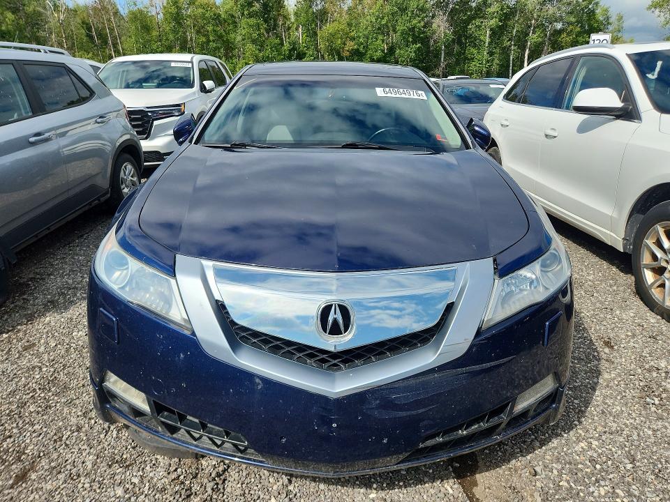 Продаж на аукціоні авто 2009 Acura Tl, vin: 19UUA96539A800855, номер лоту: 64964976